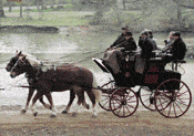 Prince Bertrand of Orleans-Braganza rides Busch family carriage pulled by Clydesdales Prince Bertrand Speaks on Leadership and Faith